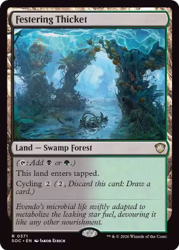 Festering Thicket (371), Commander: Secrets of Strixhaven — Magic card price