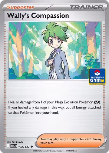 Wally's Compassion - 132/132 (GYM) (132/132), Southeast Asia Exclusives — Pokémon card price