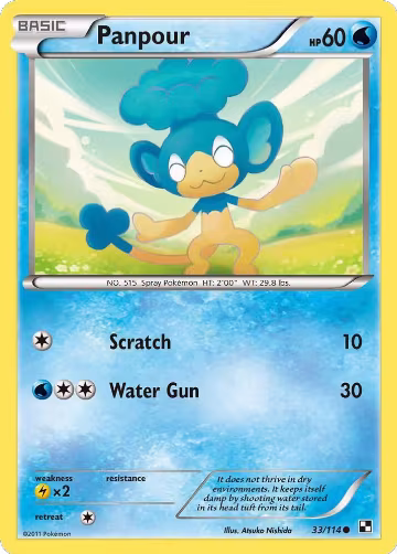 Panpour (33/114), Black and White — Pokémon card price