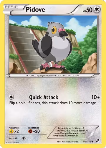 Pidove (84/114), Black and White — Pokémon card price